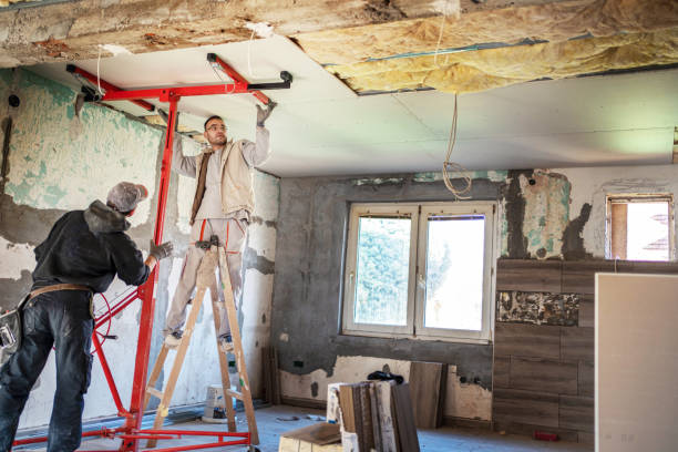 Best Residential Insulation in Sterling Heights, MI